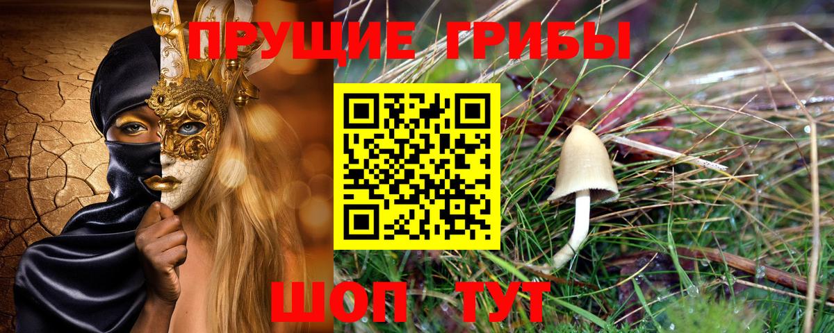 Семёнов  где найти   Вход с VPN  Галлюциногенные грибы Psilocybine cubensis 